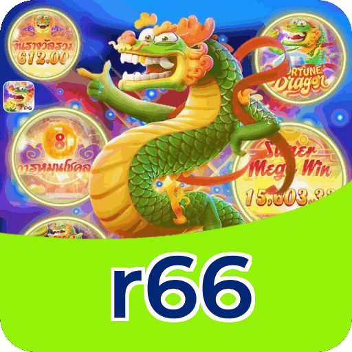 Interface r66