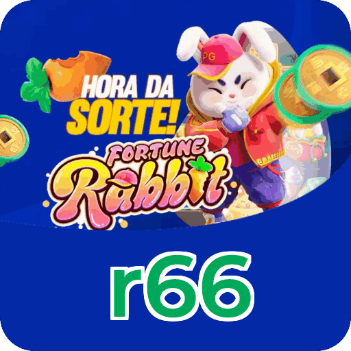 Programa VIP r66